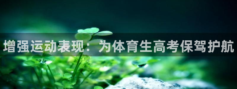 耀世兵权：增强运动表现：为体育生高考保驾护航
