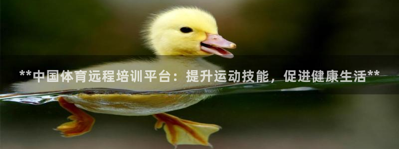 耀世娱乐登陆地址查询：**中国体育远程培训平台：提升