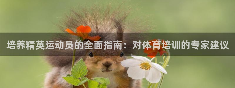 耀世娱乐是不是很黑：培养精英运动员的全面指南：对体育