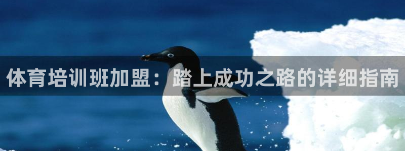耀世平台主管：体育培训班加盟：踏上成功之路的详细指南