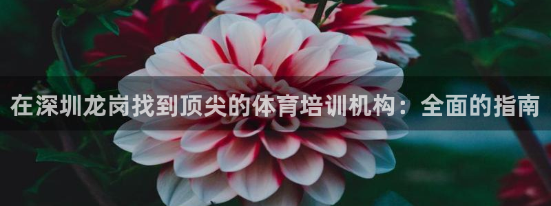 耀世集团商业联盟招聘：在深圳龙岗找到顶尖的体育培训机