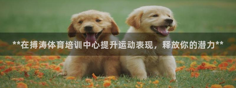 耀世娱乐返点：**在搏涛体育培训中心提升运动表现，释