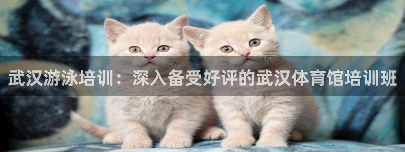 耀世而来：武汉游泳培训：深入备受好评的武汉体育馆培训