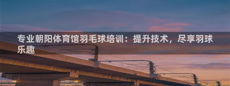 耀世娱乐挂机脚本：专业朝阳体育馆羽毛球培训：提升技术