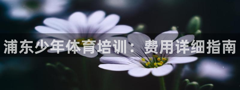 耀世娱乐登陆：浦东少年体育培训：费用详细指南