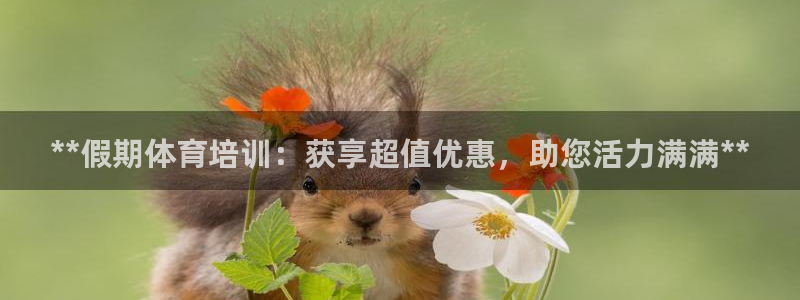 耀世娱乐app下载官网：**假期体育培训：获享超值优惠，助您