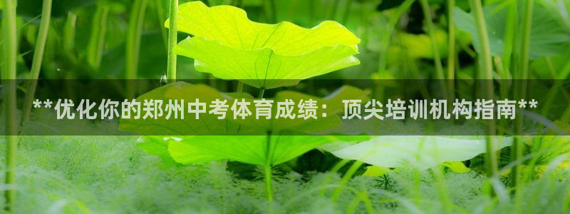 耀世汽车：**优化你的郑州中考体育成绩：顶尖培训机构指南**