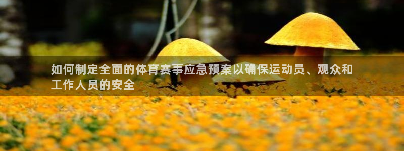 耀世平台最新注册地址在哪：如何制定全面的体育赛事应急预案以确