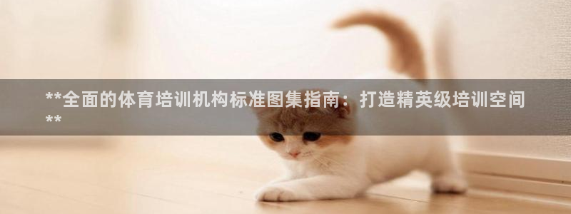 耀世娱乐百科：**全面的体育培训机构标准图集指南：打